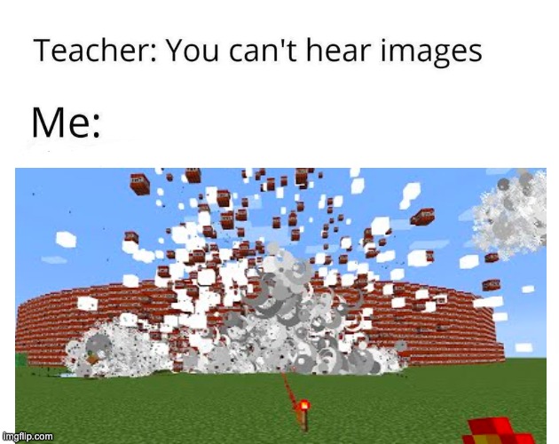 An image we can all hear | image tagged in minecraft | made w/ Imgflip meme maker