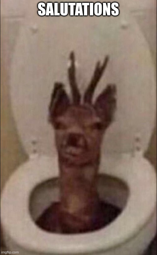 deer in toilet | SALUTATIONS | image tagged in deer in toilet | made w/ Imgflip meme maker