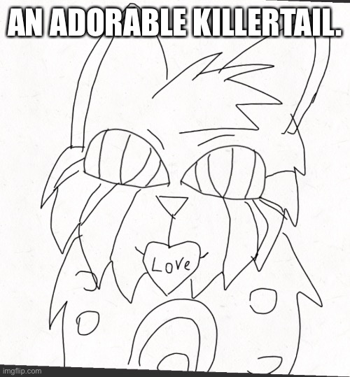 For our eyes’ rehabilitation. | AN ADORABLE KILLERTAIL. | made w/ Imgflip meme maker