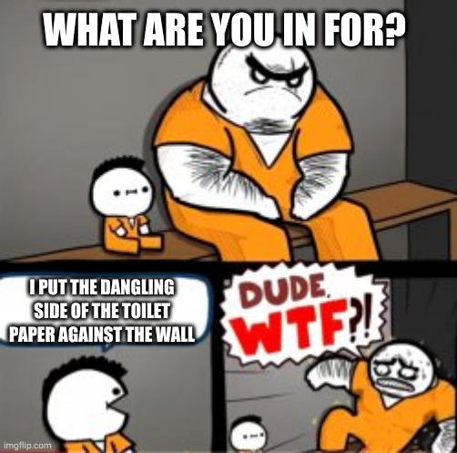 what are you in for | WHAT ARE YOU IN FOR? I PUT THE DANGLING SIDE OF THE TOILET PAPER AGAINST THE WALL | image tagged in what are you in here for | made w/ Imgflip meme maker