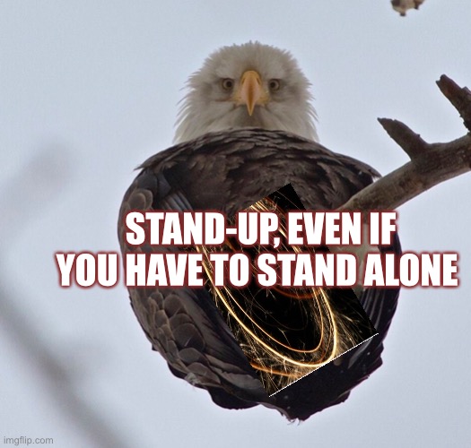 Stand up | STAND-UP, EVEN IF YOU HAVE TO STAND ALONE | image tagged in eagle | made w/ Imgflip meme maker