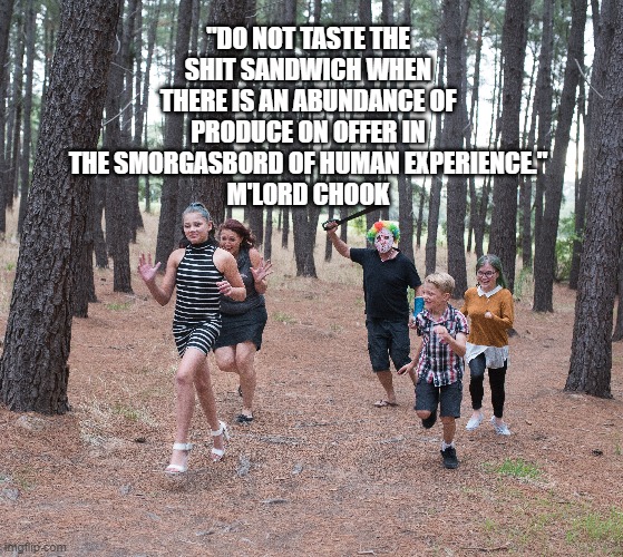 Shit sandwich | "DO NOT TASTE THE SHIT SANDWICH WHEN THERE IS AN ABUNDANCE OF PRODUCE ON OFFER IN THE SMORGASBORD OF HUMAN EXPERIENCE."
M'LORD CHOOK | image tagged in a journey into the dark underbelly of parenthood,hunting unicorns and other tales,mlord chook,blackmetaldad | made w/ Imgflip meme maker