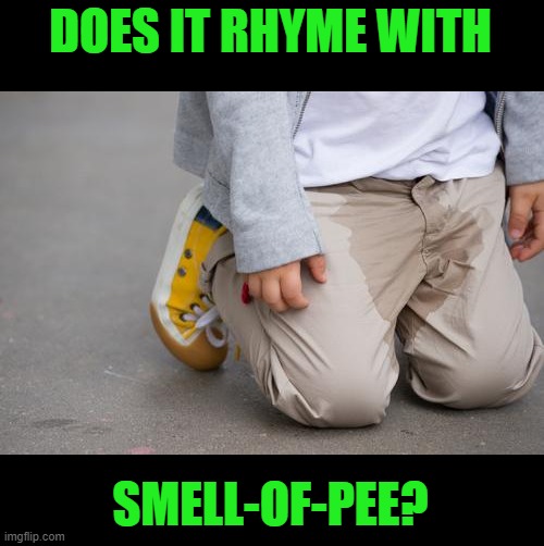 Pee Peed Pants  Wet self | DOES IT RHYME WITH SMELL-OF-PEE? | image tagged in pee peed pants wet self | made w/ Imgflip meme maker