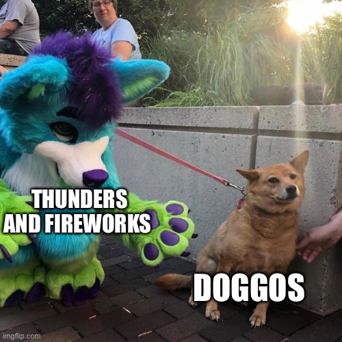 Sky Booms |  THUNDERS AND FIREWORKS; DOGGOS | image tagged in furry scaring dog | made w/ Imgflip meme maker
