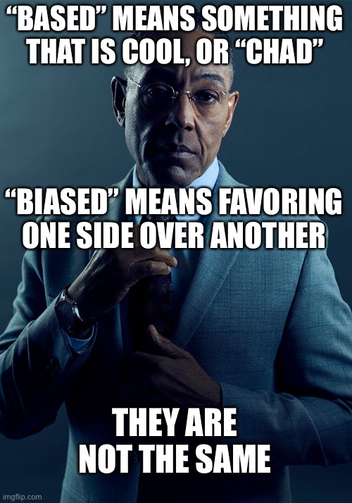 Gus Fring we are not the same | “BASED” MEANS SOMETHING THAT IS COOL, OR “CHAD”; “BIASED” MEANS FAVORING ONE SIDE OVER ANOTHER; THEY ARE NOT THE SAME | image tagged in gus fring we are not the same | made w/ Imgflip meme maker
