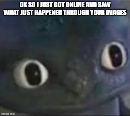 What the fuck? | OK SO I JUST GOT ONLINE AND SAW WHAT JUST HAPPENED THROUGH YOUR IMAGES | image tagged in toothless _ face | made w/ Imgflip meme maker
