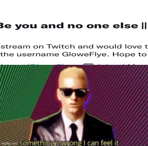Twitch Streamer and No One Else | image tagged in something's wrong i can feel it | made w/ Imgflip meme maker