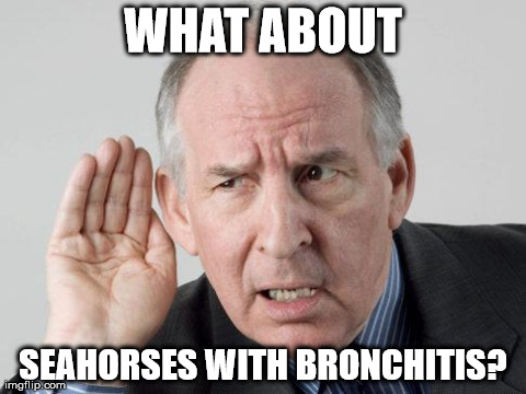 WHAT ABOUT SEAHORSES WITH BRONCHITIS? | image tagged in AdviceAnimals | made w/ Imgflip meme maker