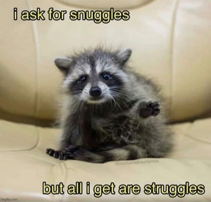 I ask for snuggles | image tagged in i ask for snuggles | made w/ Imgflip meme maker
