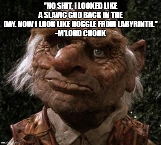 Hoggle ass ugly | "NO SHIT, I LOOKED LIKE A SLAVIC GOD BACK IN THE DAY. NOW I LOOK LIKE HOGGLE FROM LABYRINTH."
-M'LORD CHOOK | image tagged in hoggle,blackmetaldad,a journey into the dark underbelly of parenthood,hunting unicorns and other tales,mlordchook | made w/ Imgflip meme maker