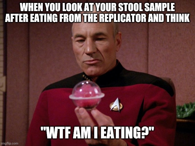Food? | WHEN YOU LOOK AT YOUR STOOL SAMPLE AFTER EATING FROM THE REPLICATOR AND THINK; "WTF AM I EATING?" | image tagged in star trek the next generation,food,poop | made w/ Imgflip meme maker