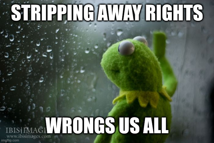 See also: injustice anywhere is a threat to justice everywhere | STRIPPING AWAY RIGHTS; WRONGS US ALL | image tagged in kermit window | made w/ Imgflip meme maker