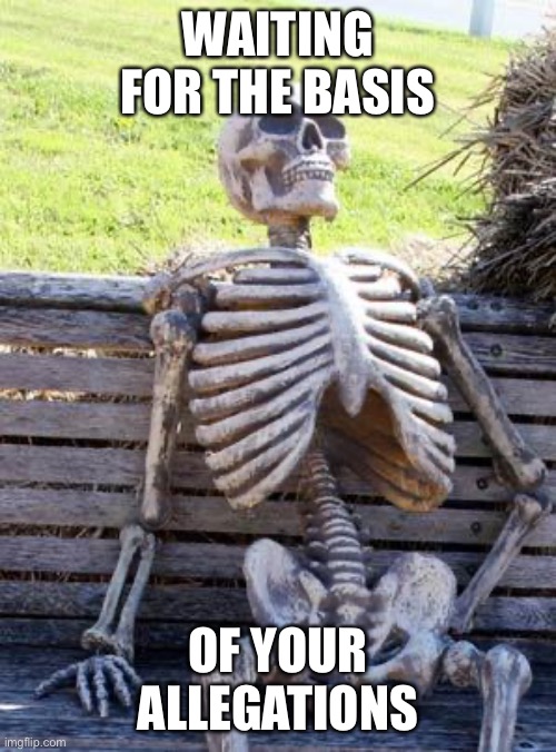 Waiting Skeleton Meme | WAITING FOR THE BASIS OF YOUR ALLEGATIONS | image tagged in memes,waiting skeleton | made w/ Imgflip meme maker