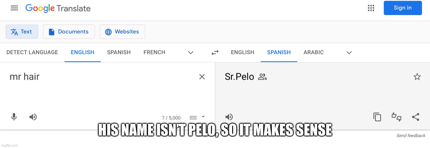 HIS NAME ISN’T PELO, SO IT MAKES SENSE | made w/ Imgflip meme maker