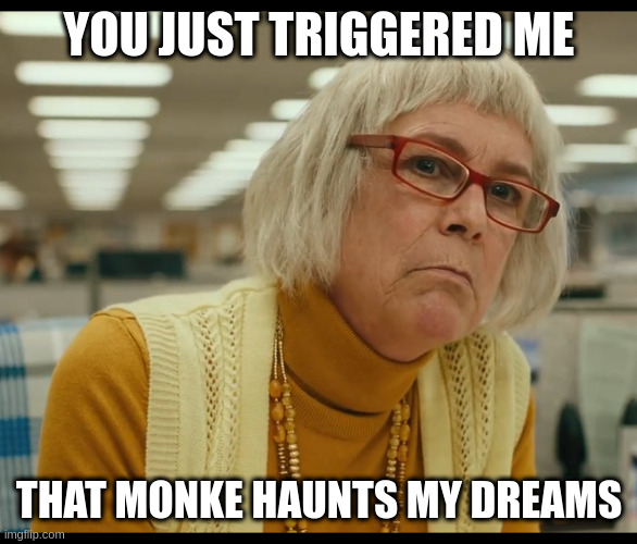 Auditor Bitch | YOU JUST TRIGGERED ME THAT MONKE HAUNTS MY DREAMS | image tagged in auditor bitch | made w/ Imgflip meme maker