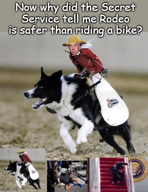 If it's so simple a monkey can do it, I won't have any problems with that malarkey. | Now why did the Secret Service tell me Rodeo is safer than riding a bike? | image tagged in monkey riding a border collie | made w/ Imgflip meme maker