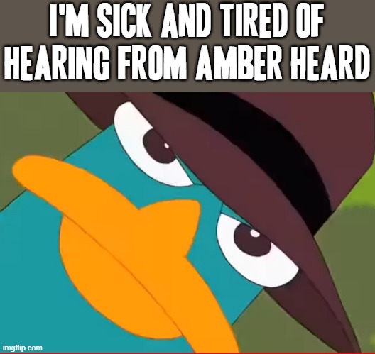 Amber heard ? more like amber turd | I'M SICK AND TIRED OF HEARING FROM AMBER HEARD | image tagged in perry looks at you,memes,amber turd,amber heard,perry the platypus,savage memes | made w/ Imgflip meme maker