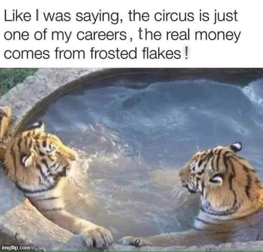 Rich Tigers | image tagged in frosted flakes | made w/ Imgflip meme maker