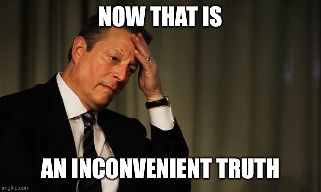 Al Gore Facepalm | NOW THAT IS AN INCONVENIENT TRUTH | image tagged in al gore facepalm | made w/ Imgflip meme maker