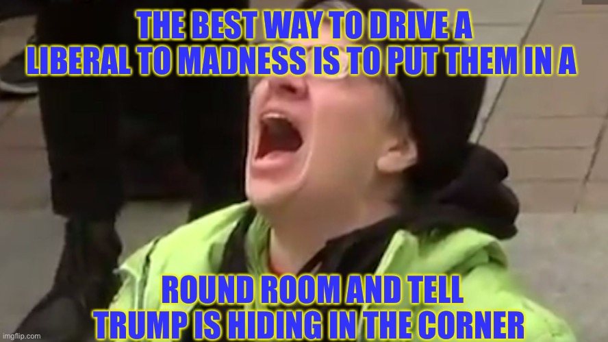 Boogeyman trump is coming after you | THE BEST WAY TO DRIVE A LIBERAL TO MADNESS IS TO PUT THEM IN A; ROUND ROOM AND TELL TRUMP IS HIDING IN THE CORNER | image tagged in screaming liberal | made w/ Imgflip meme maker