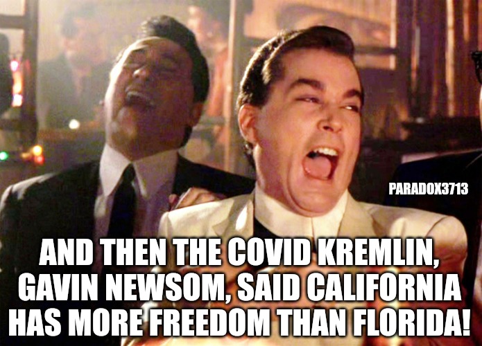 You can't make this sh*t up! LOL! | PARADOX3713; AND THEN THE COVID KREMLIN, GAVIN NEWSOM, SAID CALIFORNIA HAS MORE FREEDOM THAN FLORIDA! | image tagged in memes,good fellas hilarious,politics,democrats,california,florida | made w/ Imgflip meme maker