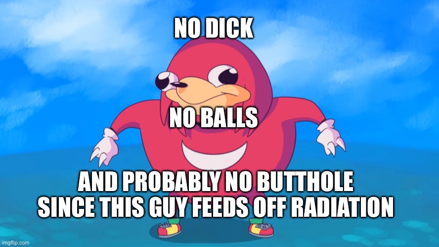 Uganda Knuckles | NO DICK NO BALLS AND PROBABLY NO BUTTHOLE SINCE THIS GUY FEEDS OFF RADIATION | image tagged in uganda knuckles | made w/ Imgflip meme maker