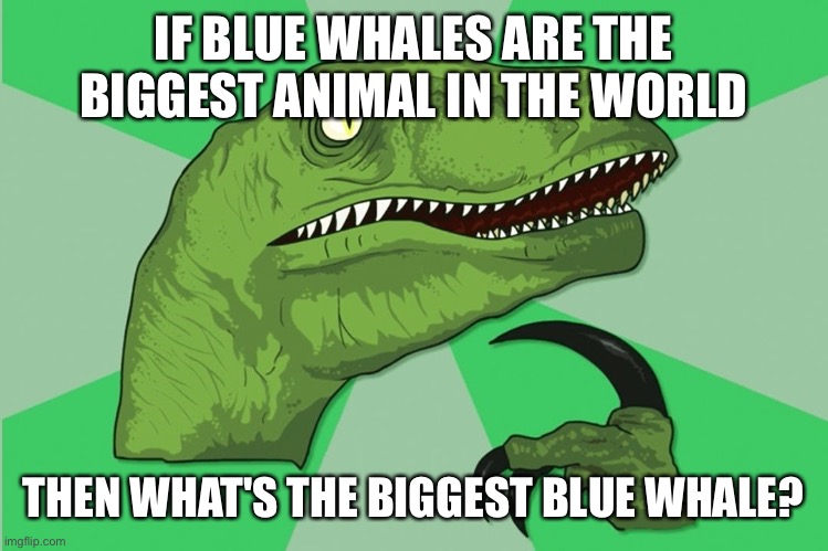 Not today, biologist. |  IF BLUE WHALES ARE THE BIGGEST ANIMAL IN THE WORLD; THEN WHAT'S THE BIGGEST BLUE WHALE? | image tagged in new philosoraptor,blue,whale | made w/ Imgflip meme maker