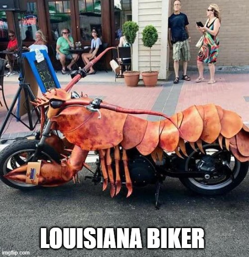 Louisiana iker | LOUISIANA BIKER | image tagged in louisiana biker,louisiana,biker | made w/ Imgflip meme maker