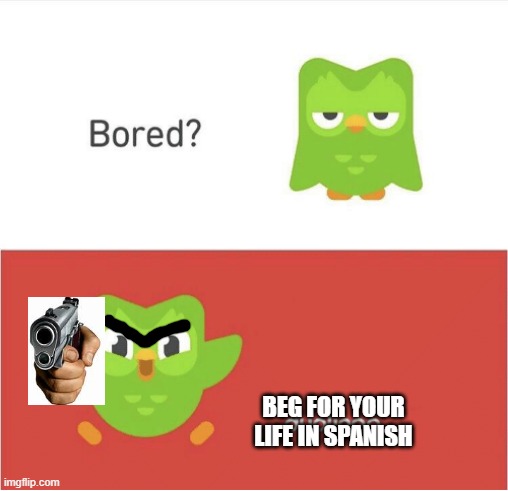 DUOLINGO BORED | BEG FOR YOUR LIFE IN SPANISH | image tagged in duolingo bored | made w/ Imgflip meme maker