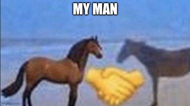 horse handshake my man | MY MAN | image tagged in horse handshake my man | made w/ Imgflip meme maker