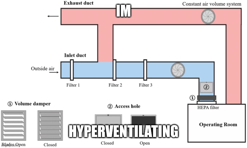 hyperventinlation | IM; HYPERVENTILATING | image tagged in hype | made w/ Imgflip meme maker