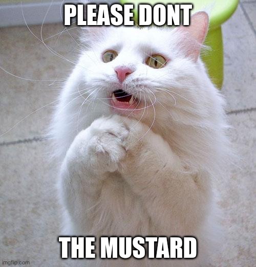 Begging Cat | PLEASE DONT; THE MUSTARD | image tagged in begging cat | made w/ Imgflip meme maker
