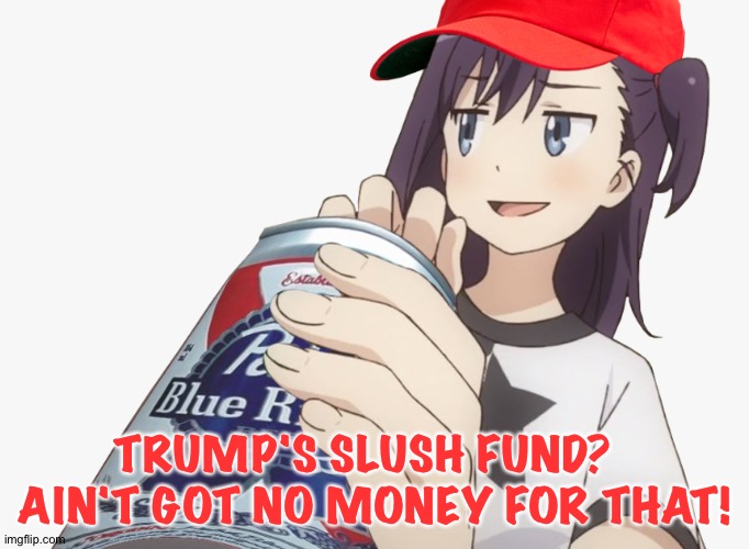 $250 million | TRUMP'S SLUSH FUND?  
AIN'T GOT NO MONEY FOR THAT! | image tagged in anime maga | made w/ Imgflip meme maker