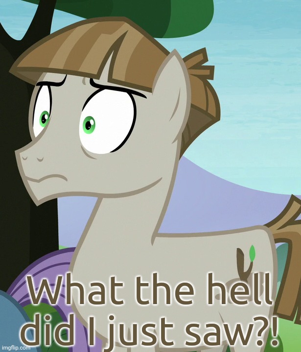 Shocked Mudbriar (MLP) | What the hell did I just saw?! | image tagged in shocked mudbriar mlp | made w/ Imgflip meme maker