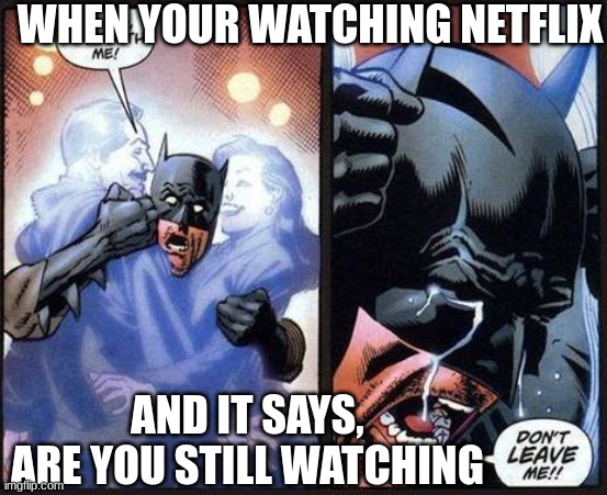 truth | WHEN YOUR WATCHING NETFLIX; AND IT SAYS, ARE YOU STILL WATCHING | image tagged in batman don't leave me | made w/ Imgflip meme maker