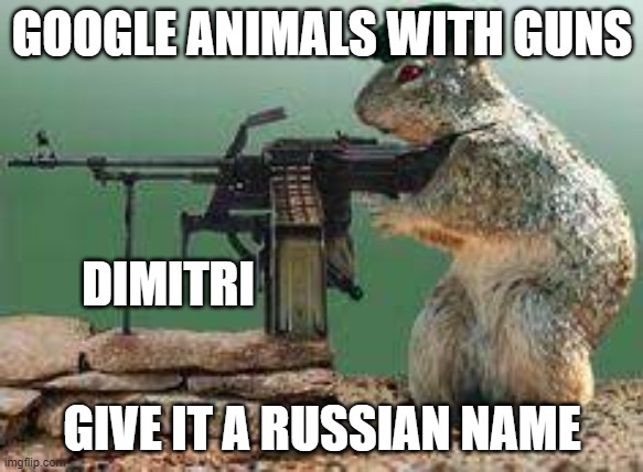 Animal with gun | GOOGLE ANIMALS WITH GUNS; DIMITRI; GIVE IT A RUSSIAN NAME | image tagged in funny memes | made w/ Imgflip meme maker