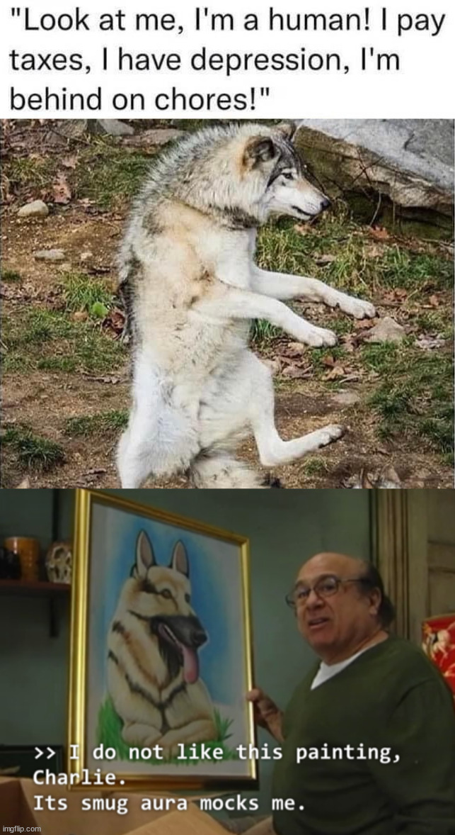image tagged in its smug aura mocks me | made w/ Imgflip meme maker