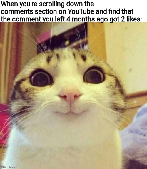 amazing feeling | When you're scrolling down the comments section on YouTube and find that the comment you left 4 months ago got 2 likes: | image tagged in memes,smiling cat,comment section | made w/ Imgflip meme maker