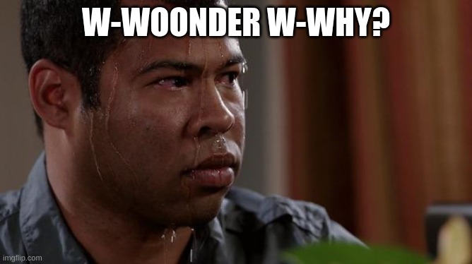 sweating bullets | W-WOONDER W-WHY? | image tagged in sweating bullets | made w/ Imgflip meme maker