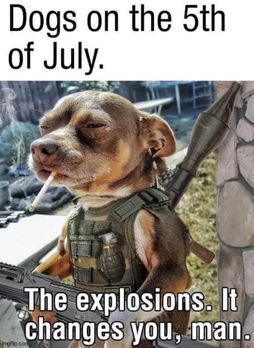 Dogs going bonkers over these fireworks, I also hate them. | image tagged in trauma | made w/ Imgflip meme maker
