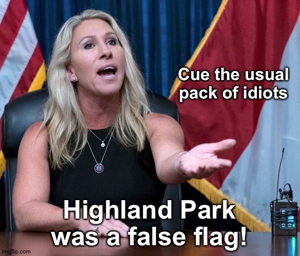 Waiting | Cue the usual pack of idiots; Highland Park was a false flag! | image tagged in marjorie taylor greene is this the holocaust | made w/ Imgflip meme maker