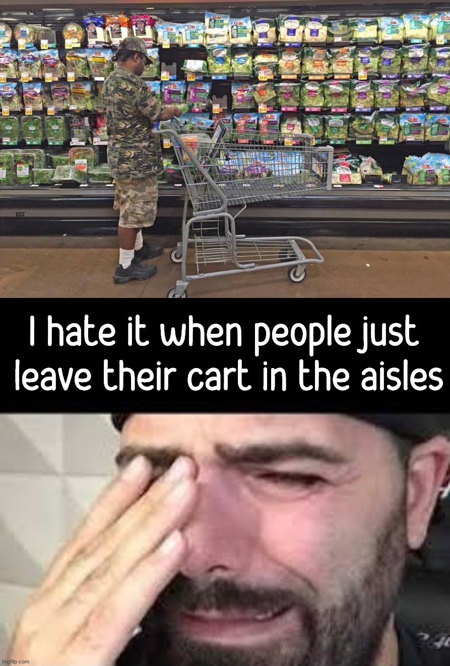 I always see carts in the aisle, usually during hunting season | I hate it when people just  leave their cart in the aisles | image tagged in when you don't get it why you're still getting hate,shopping,camouflage,carts,aisles | made w/ Imgflip meme maker
