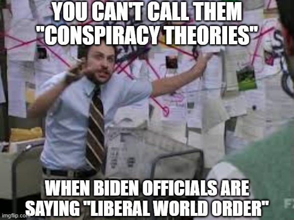 conspiracy theory | YOU CAN'T CALL THEM "CONSPIRACY THEORIES"; WHEN BIDEN OFFICIALS ARE SAYING "LIBERAL WORLD ORDER" | image tagged in conspiracy theory | made w/ Imgflip meme maker