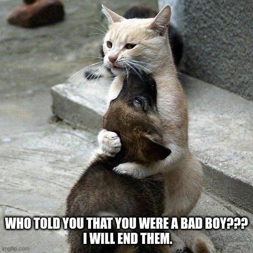 WHO TOLD YOU THAT YOU WERE A BAD BOY???
 I WILL END THEM. | image tagged in who called you a bad boy i will end them | made w/ Imgflip meme maker