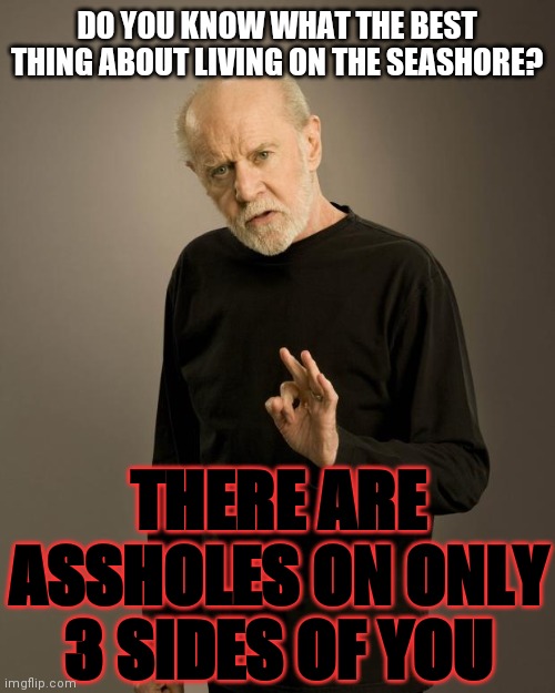 Only One Way Out | DO YOU KNOW WHAT THE BEST THING ABOUT LIVING ON THE SEASHORE? THERE ARE ASSHOLES ON ONLY 3 SIDES OF YOU | image tagged in george carlin,truth hurts | made w/ Imgflip meme maker