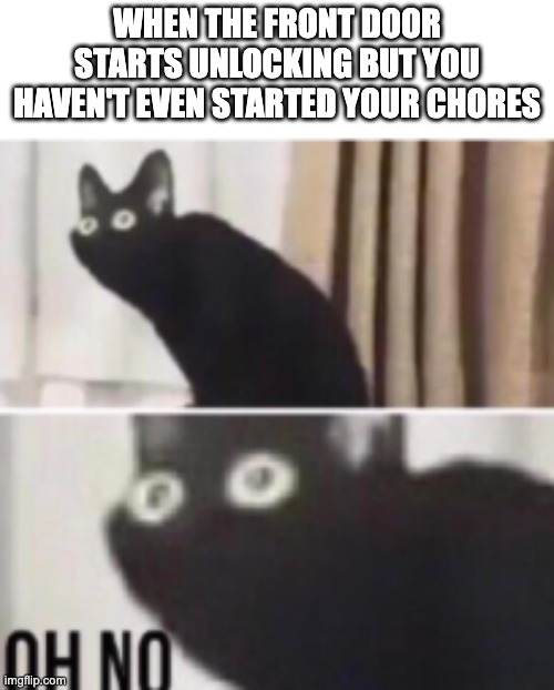 Oh no cat | WHEN THE FRONT DOOR STARTS UNLOCKING BUT YOU HAVEN'T EVEN STARTED YOUR CHORES | image tagged in oh no cat | made w/ Imgflip meme maker