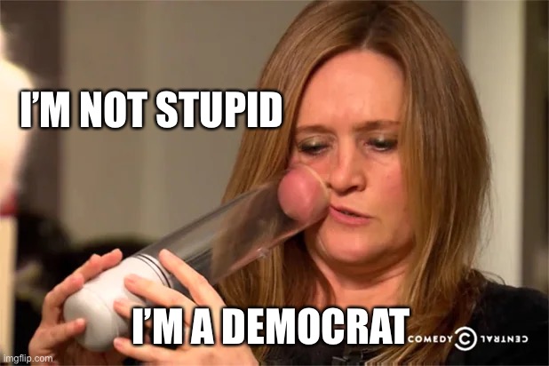 Sam bee | I’M NOT STUPID; I’M A DEMOCRAT | image tagged in hate,democrats,funny | made w/ Imgflip meme maker