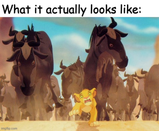 Lion King Stampede | What it actually looks like: | image tagged in lion king stampede | made w/ Imgflip meme maker