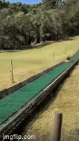 Wheeeee - Imgflip