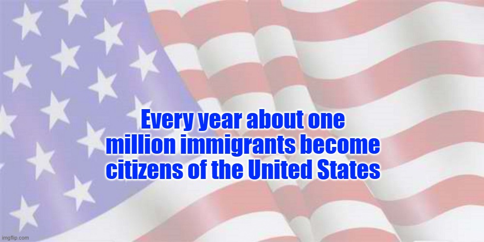 Faded American Flag | Every year about one million immigrants become citizens of the United States | image tagged in faded american flag,illegal immigration,united states,united states of america | made w/ Imgflip meme maker
